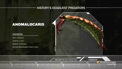 Titanoboa Monster Snake - History's Deadliest Predators