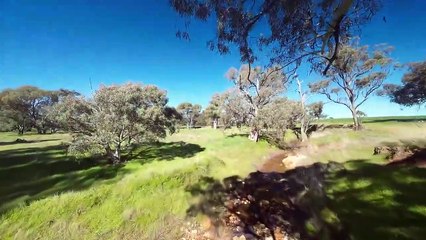 Wild Dog Creek, Melrose | August 7, 2023 | Farmonline