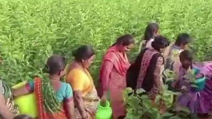 శ్రీ సత్యసాయి జిల్లా: దారుణం.. నీటికోసం ఎన్ని ఇక్కట్లో