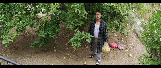 It Must Be Heaven Bande-annonce (IT)