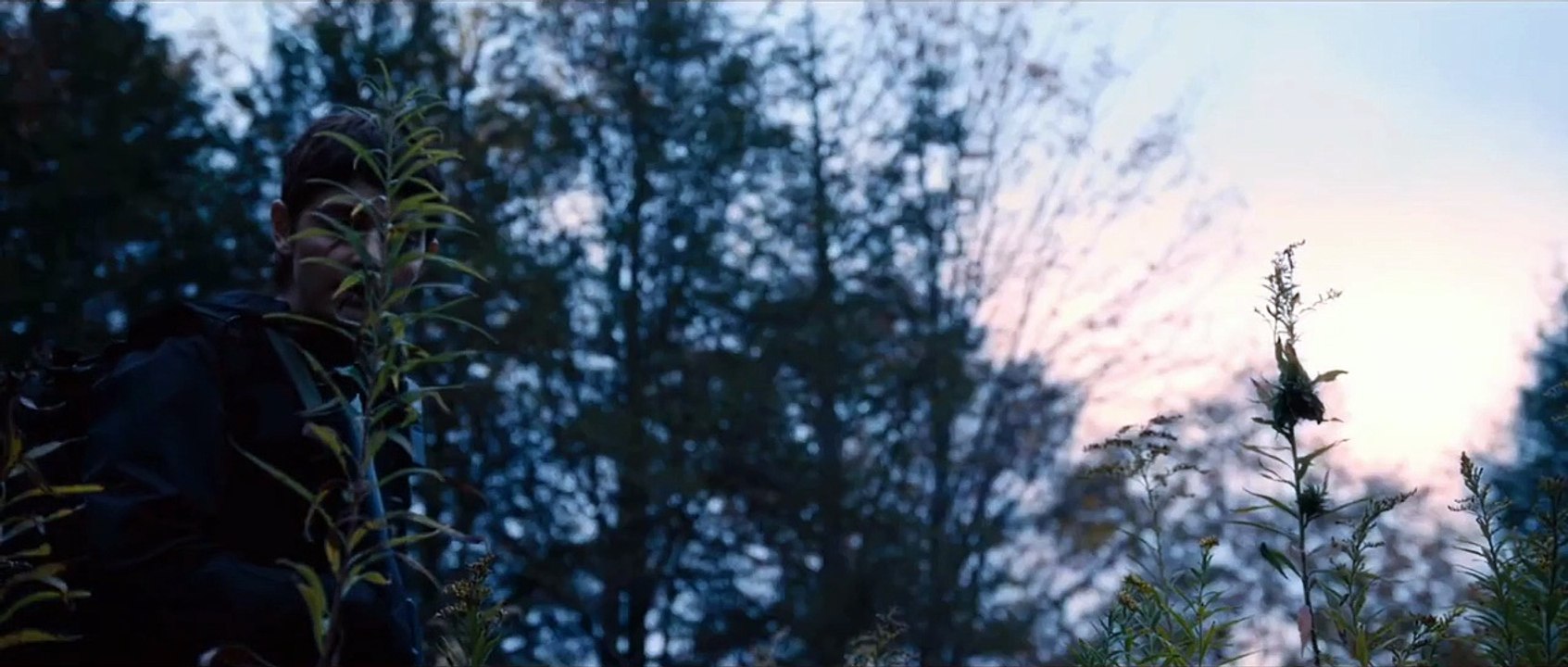 Island Escape Trailer OV