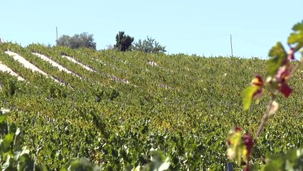 Las CCAA toman medidas para hacer frente a la sequía