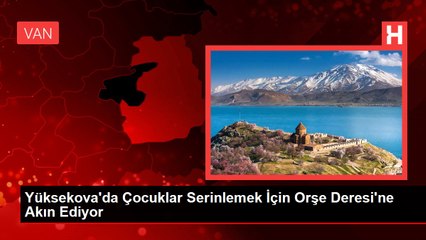 Yüksekova'da Çocuklar Serinlemek İçin Orşe Deresi'ne Akın Ediyor