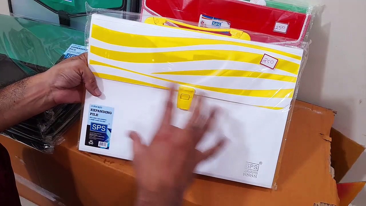 Unboxing and Review of Harmonium Expanding Folder, Document Certificate A4 FS Size File Divider Organizer with Handle 13 Pocket Transparent Light Mix Colored Accordion