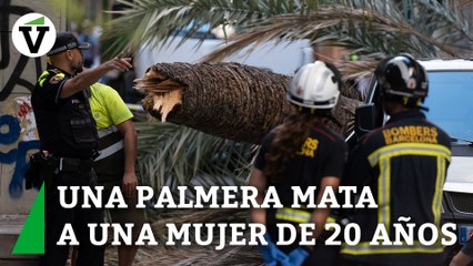 Muere una mujer al caerle encima una palmera en el Raval de Barcelona