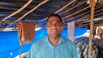 पीओपी की मूर्तियां बनाने वालों पर कार्रवाई, 100 बैग जब्त