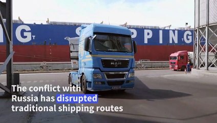 Europe's largest cereals port braces for more Ukrainian grain