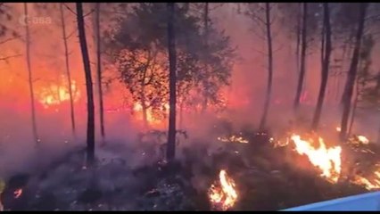 Lotta agli incendi, l'Esa aggiorna la piattaforma online World Fire Atlas
