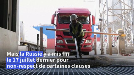 Le principal port roumain de la mer Noire se prépare à recevoir plus de céréales ukrainiennes