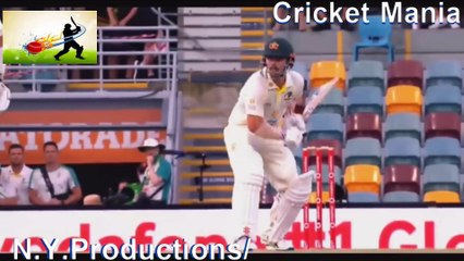 Top 7 - Dangerous  Deliveries - In Cricket History Ever  - Fast Bowling - Best Ever - Amazing Deliveries - Historical Bowled.