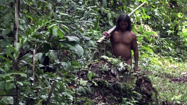 La selva es mi casa , clama indígena que se opone a las petroleras en Ecuador