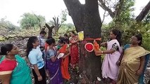 Video: बहनों ने खाई रक्षा की कसम, पेड़ों को बांधी राखी