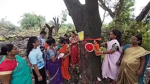 Video: बहनों ने खाई रक्षा की कसम, पेड़ों को बांधी राखी