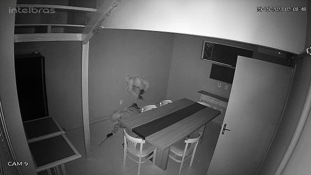 Ladrões quebram parede de cafeteria para cometer furto em Itajaí