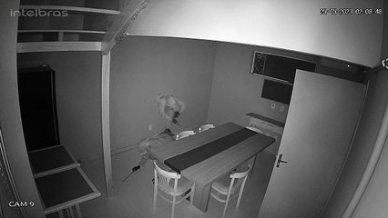 Ladrões quebram parede de cafeteria para cometer furto em Itajaí