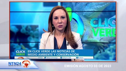 1- EN QUÉ CONSISTE ESE MECANISMO POPULAR QUE SE LLEVARÁ A CABO PARA DEFINIR EL FUTURO DE YASUNÍ?