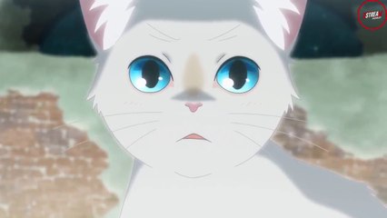 A Whisker Away Hindi Dubbed | Heartwarming Anime About Love & Transformation 🐱