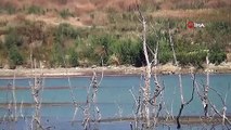 Tekirdağ'da Yazır Barajı Kuruma Noktasına Geldi