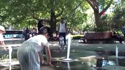 Les capitalistes, accablés par la chaleur accablante, ont afflué dans les parcs