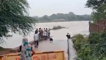 दतिया: तूफानी बारिश ने मचाया कोहराम, बाढ़ के पानी से टूटा पुल, विभाग ने जारी किया अलर्ट