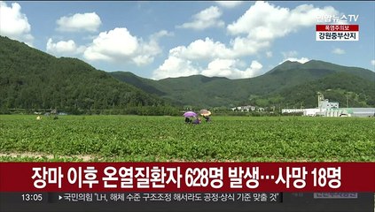 장마 이후 온열질환자 628명 발생…사망 18명