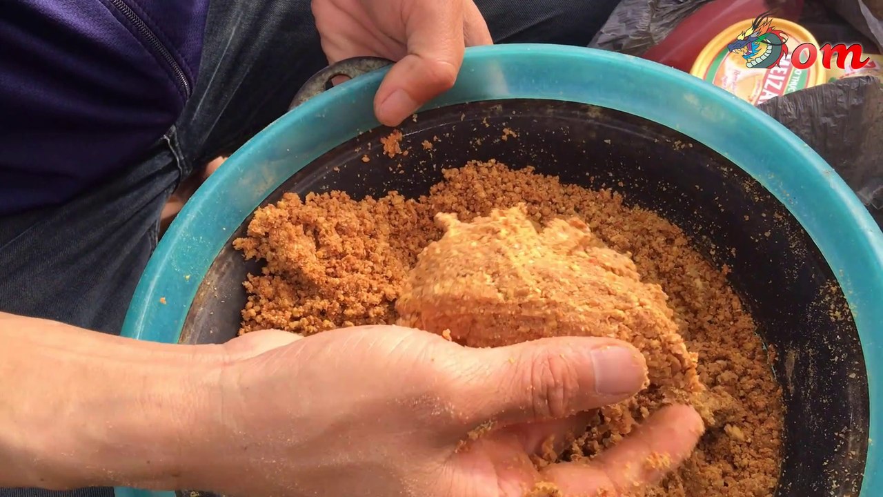 Hành Trình Săn Cá Chép Khủng Đầu Nguồn Sông Ba Tây Nguyên