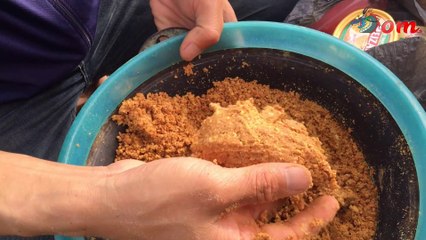 Hành Trình Săn Cá Chép Khủng Đầu Nguồn Sông Ba Tây Nguyên