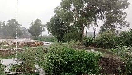 आज कई जिलों में भारी बारिश की चेतावनी