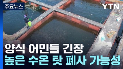 폭염에 바닷물 온도 상승...양식 어민들 긴장 / YTN