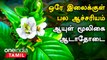 Health Tips in Tamil | நலம் நலமறிய ஆவல்  - Adathodai Health Benefits in Tamil