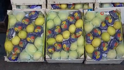 Président de la Chambre d'agriculture de Yuregir： La coupe et l'exportation illégales de citrons ont commencé avant le début de la récolte
