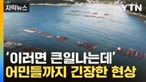 [자막뉴스] 겁에 질린 어민들...'떼죽음' 위기 나타난 바다 / YTN