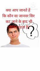 कौन सा जानवर सिर कट जाने के वाद भी जीवित रहता है? #shorts #short video #gk #gkfacts #trending