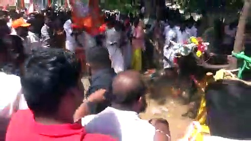 கூட்டத்தில் சீறிப்பாய்ந்த காளை; தெறித்து ஓடிய தொண்டர்கள்; நொடிப்பொழுதில் கட்டுப்படுத்திய அண்ணாமலை