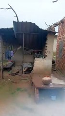 प्रशासन का नकारापन: आखिर गिर ही गया गरीब के घर पेड़, बाल- बाल बची बुजुर्ग की जान