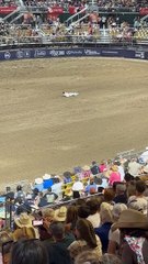 Matador Injured by Bull at Rodeo