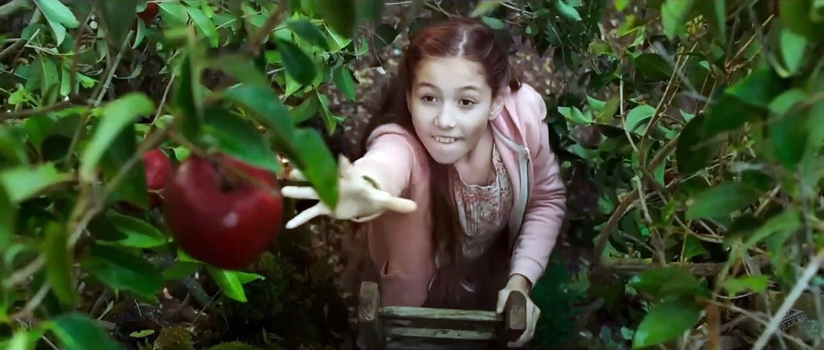 Wonderwell Trailer OV