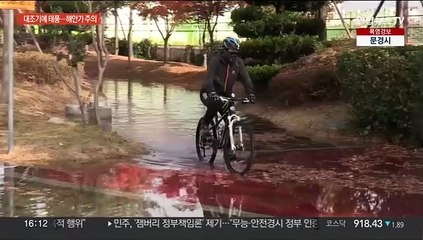 마른 하늘에 물바다…대조기에 태풍 '폭풍해일주의보'