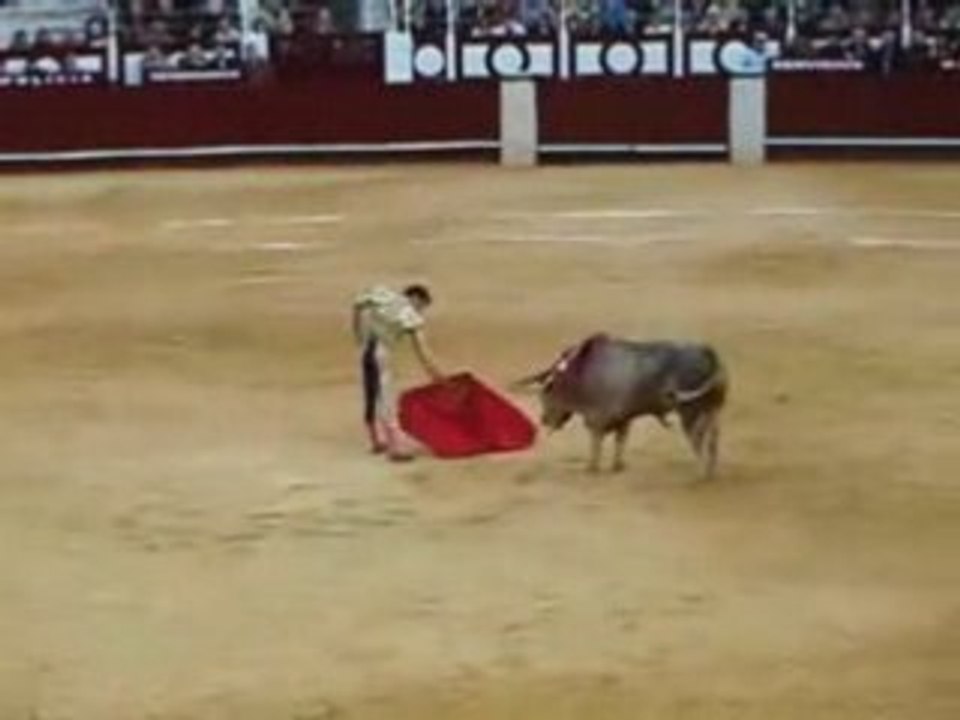 JOSE TOMAS - MALAGA - 22 MARS 2008