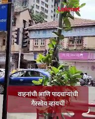 लोकमत मुंबई इम्पॅक्ट! गिरगांवकरांच्या मार्गातील खड्ड्यांचा अडथळा दूर