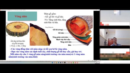 Sinh 11 - Bài 34 Sinh trưởng thực vật