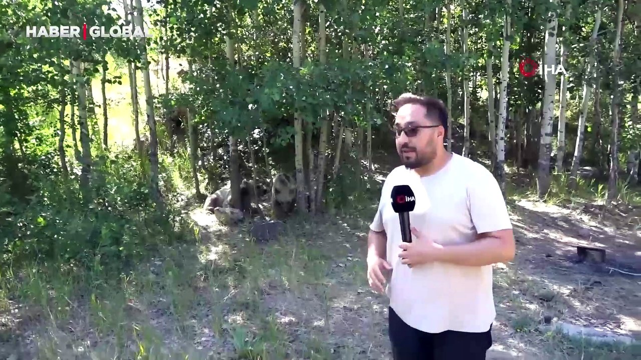 Habere giderken haber olan muhabir, ayı saldırısından kıl payı kurtuldu!