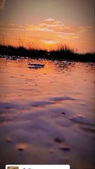 Beautiful  nature  for farmer Life 