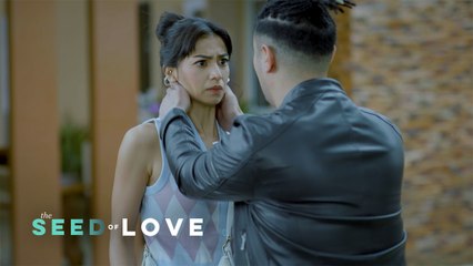 The Seed of Love: A fake friend shows his true colors (Episode 64)