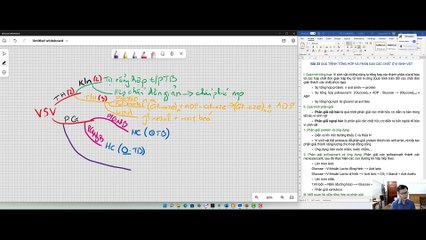 Mind Map - Sinh 10 Quá trình tổng hợp và phân giải ở vi sinh vật