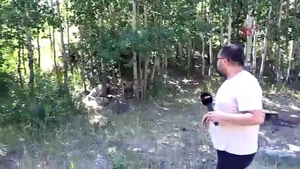 İHA muhabiri ayı saldırısından kıl payı kurtuldu