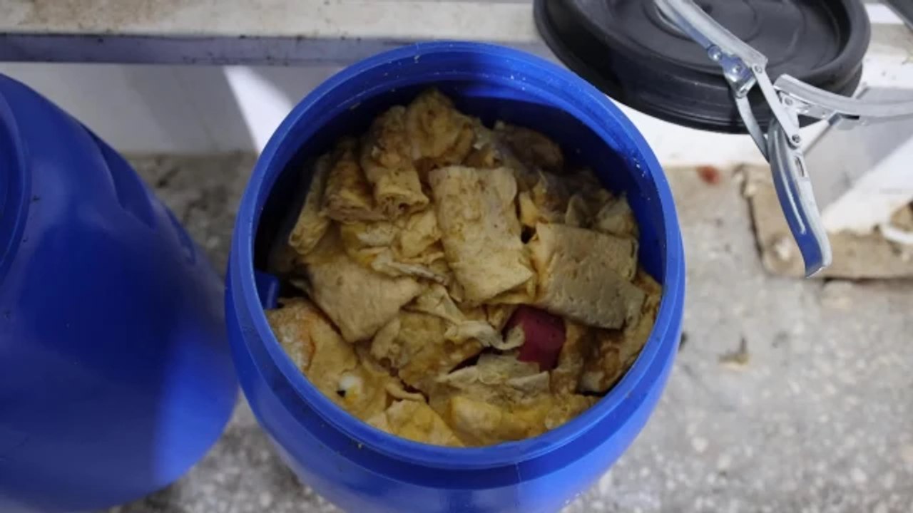 Marmaris Belediyesi, Yemek Artıklarından Kedi-Köpek Maması Üretiyor