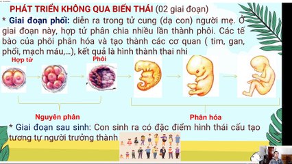 Sinh 11 - Bài 37 Sinh trưởng phát triển ở động vật