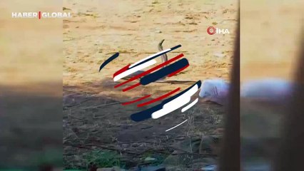 Yılanların dansından etkilenen vatandaş o anları hayranlıkla kaydetti