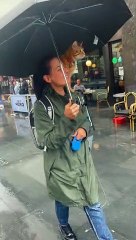 Rain Does Not Stop Cat From Going Out